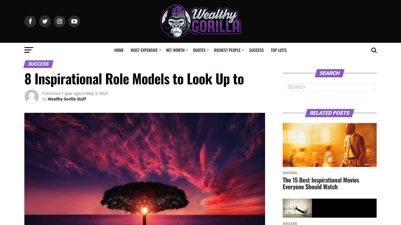 8 Inspirational Role Models to Look Up to - Wealthy Gorilla